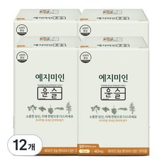 예지미인 윤슬 팬티라이너, 일반, 40개입, 12개