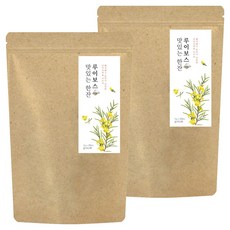 더허브샵 맛있는 한잔 루이보스 티백, 1g, 20개입, 2개