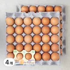 샛별뜨락 무항생제 특란, 30구, 4개