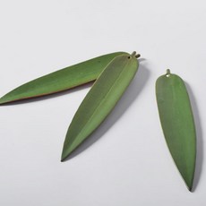 Lili D'az 葉子線香座, 單一顏色