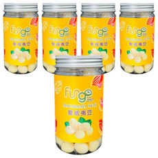 Fungo 芳菓 原味夏威夷豆, 5個, 140g