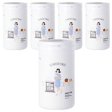 샤인메이커스 안심세척 식기세제 올인원, 5개, 1kg