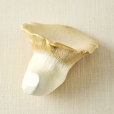 국내산 친환경 황제버섯, 180g, 1개