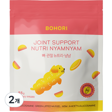 보호리 강아지 뉴트리냠냠 영양제, 뼈/관절강화, 2개, 85g