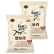 천년지기 국산 찰보리쌀, 5kg, 2개