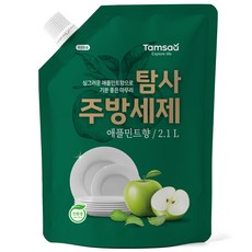 탐사 친환경 주방세제 애플민트향, 2.1L, 1개