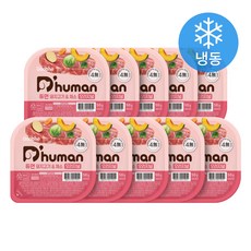 듀먼 강아지 채소 오리지널 화식사료 용기형 (냉동), 50g, 10개, 돼지