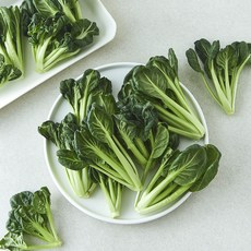 친환경 비타민, 1개, 150g