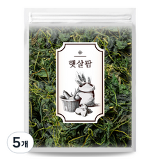 햇살팜 국산 건취나물, 100g, 5개