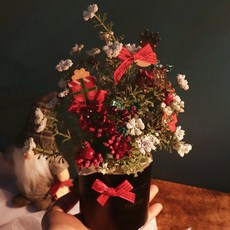 Blüehen 聖誕珍珠仁樹, 紅色的