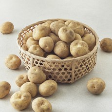 국내산 수미감자, 5kg, 1개