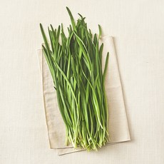 국내산 친환경 부추, 200g, 1개
