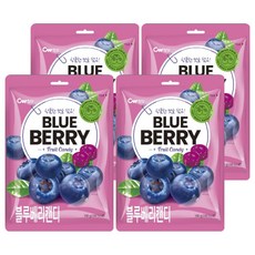 CW 藍莓味糖果, 100g, 4個