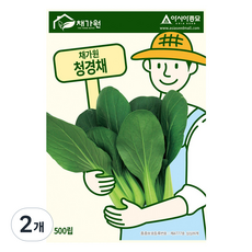 아시아종묘 씨앗 청경채 500립, 2개