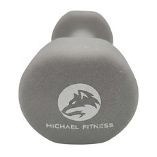 MICHAEL FITNESS 麥克健身 鑄鐵啞鈴 灰色 4kg, 1個