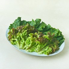 반반 상추, 200g, 1개
