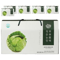 청춘농장 정직한 양배추진액즙 30p, 2.7L, 6개