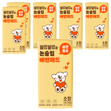 BlancBlanc 防滑瞬吸寵物尿墊 無香, 50入, 6個