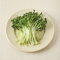 친환경 무순, 1개, 30g