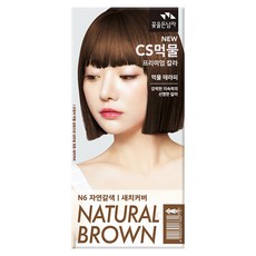꽃을든남자 CS 먹물 칼라 새치커버용 염모제, N6 자연갈색, 1개