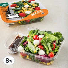 스윗밸런스 모짜렐라 카프레제 샐러드, 165g, 8개