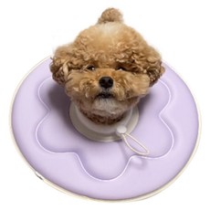 DEOPLLAE 寵物雙色超輕量頸圈, 紫色/黃色