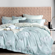 Prawear 巴麗維亞 頂級石墨烯萊賽爾天絲兩用被床包組