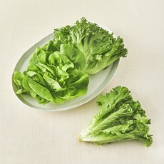 친환경 유러피안 모둠 샐러드용 채소, 300g, 1개입, 1개