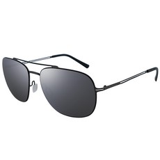 Pantone FANTON 波音鏡面太陽鏡 ZEBRA