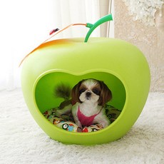 샤샤 애플 펫하우스 + 부엉이원형방석
