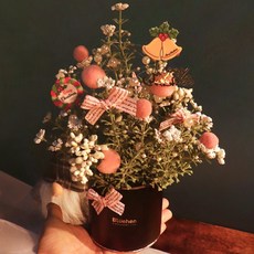 Blüehen 聖誕珍珠仁樹, 粉色的