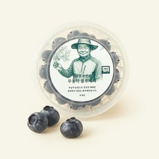 이광호 농부의 무농약 왕블루베리, 100g, 1개
