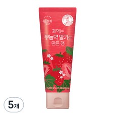 복음자리 짜먹는 딸기잼, 200g, 5개