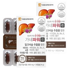대웅생명과학 가네파워 밀크씨슬 영양제 24g, 30정, 2개