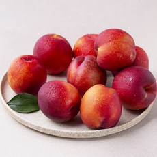 올바른과일 천도 복숭아, 1kg, 1개