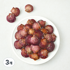 바다림 국내산 홍가리비 (냉장), 3개, 2kg