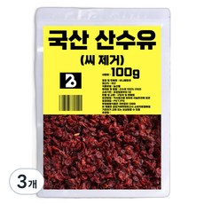 비니플랑센 국산 씨 제거 산수유, 100g, 3개