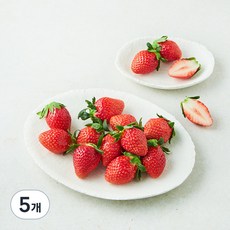 금실 딸기, 500g(중과), 5개