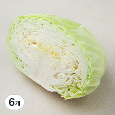 친환경 양배추 1/2통, 500g, 1개, 6개, 500g