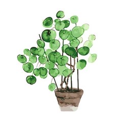 Momofix Painting DIY 靜物畫套組 30 x 40 cm, 尤加利