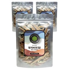 동이약초 중국산 영지버섯 절, 150g, 3개