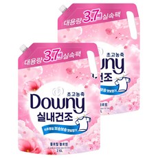 다우니 실내건조 초고농축 섬유유연제 플로럴 블로썸 리필, 2.6L, 2개