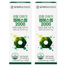 Eulji university Joint Plus MSM 2000補充錠 122.44908g, 120顆, 120 片 x 2