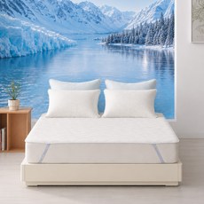 PROTECT-A-BED DuraWell 阿拉斯加涼感墊 邊角固定帶型