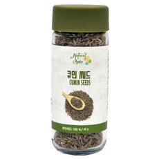 내츄럴스파이스 큐민 씨드, 45g, 1개