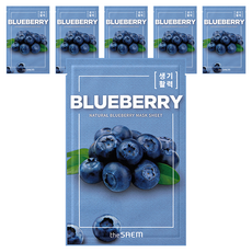 더샘 내추럴 블루베리 마스크 시트 21ml, 1개입, 6개