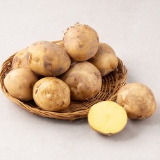 곰곰 골든킹 서산 금왕감자, 1kg, 1봉