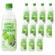 클룹 애사비소다 화이트발사믹 제로 탄산음료, 500ml, 12개