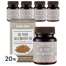 데일리원 참 착한 보스웰리아정 영양제, 20개, 15g