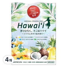 바스크린 아로마 스파클링 하와이, 240g, 4개